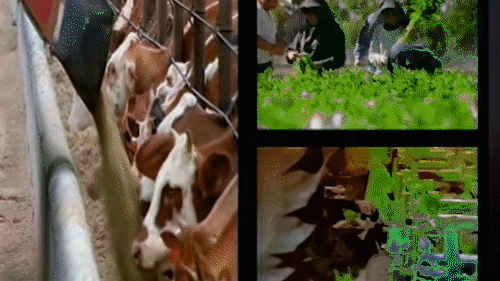 Producción Audiovisual